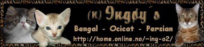 (N) Ingys  banner